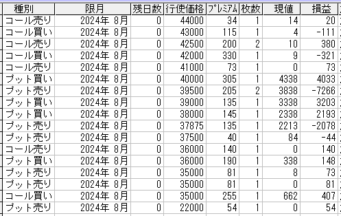 225オプション参考メール 2024年8月限