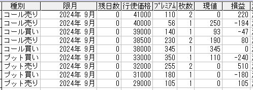 225オプション参考メール 2024年9月限