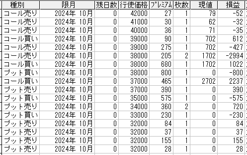 225オプション参考メール 2024年10月限