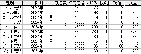 225オプション参考メール 2024年11月限