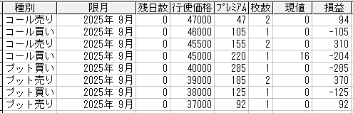 225オプション参考メール 2025年9月限